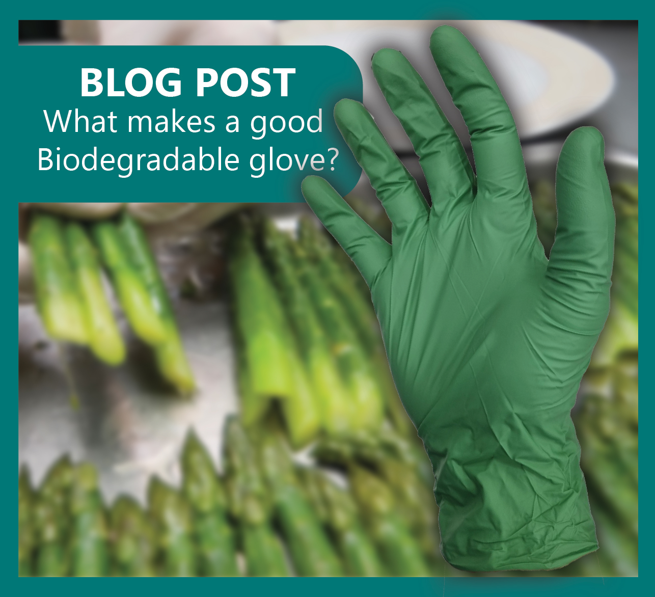 What Makes a Good Biodegradable Glove?