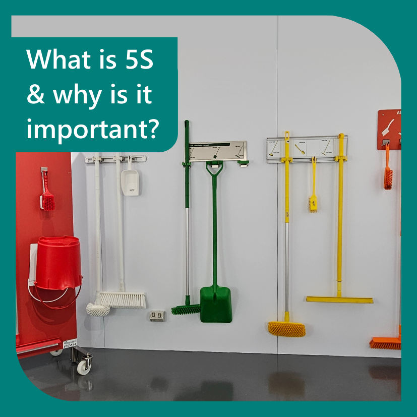 What is 5S and Why is it Important?