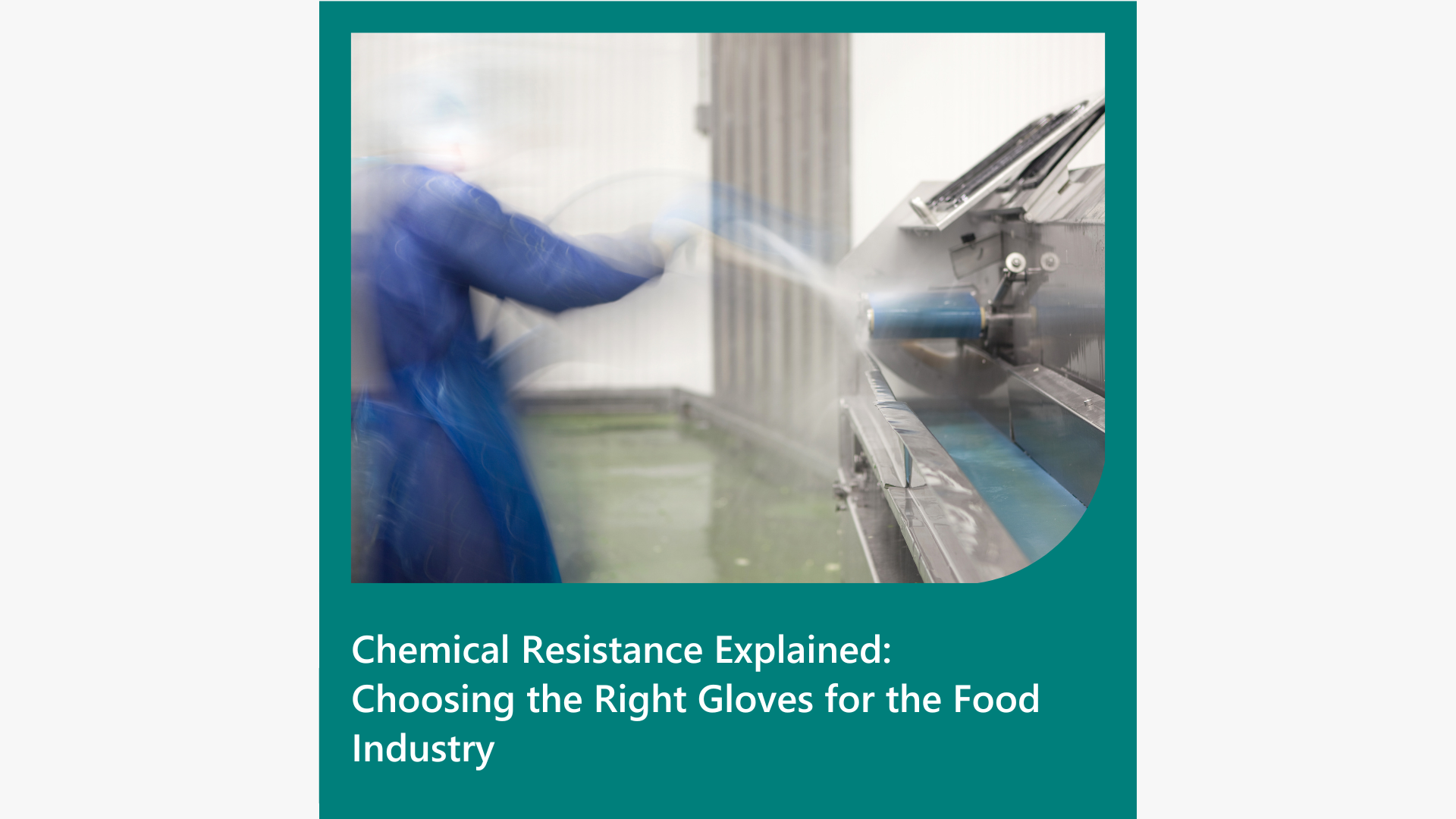 Chemical Resistance Explained: Choosing the Right Gloves for the Food Industry