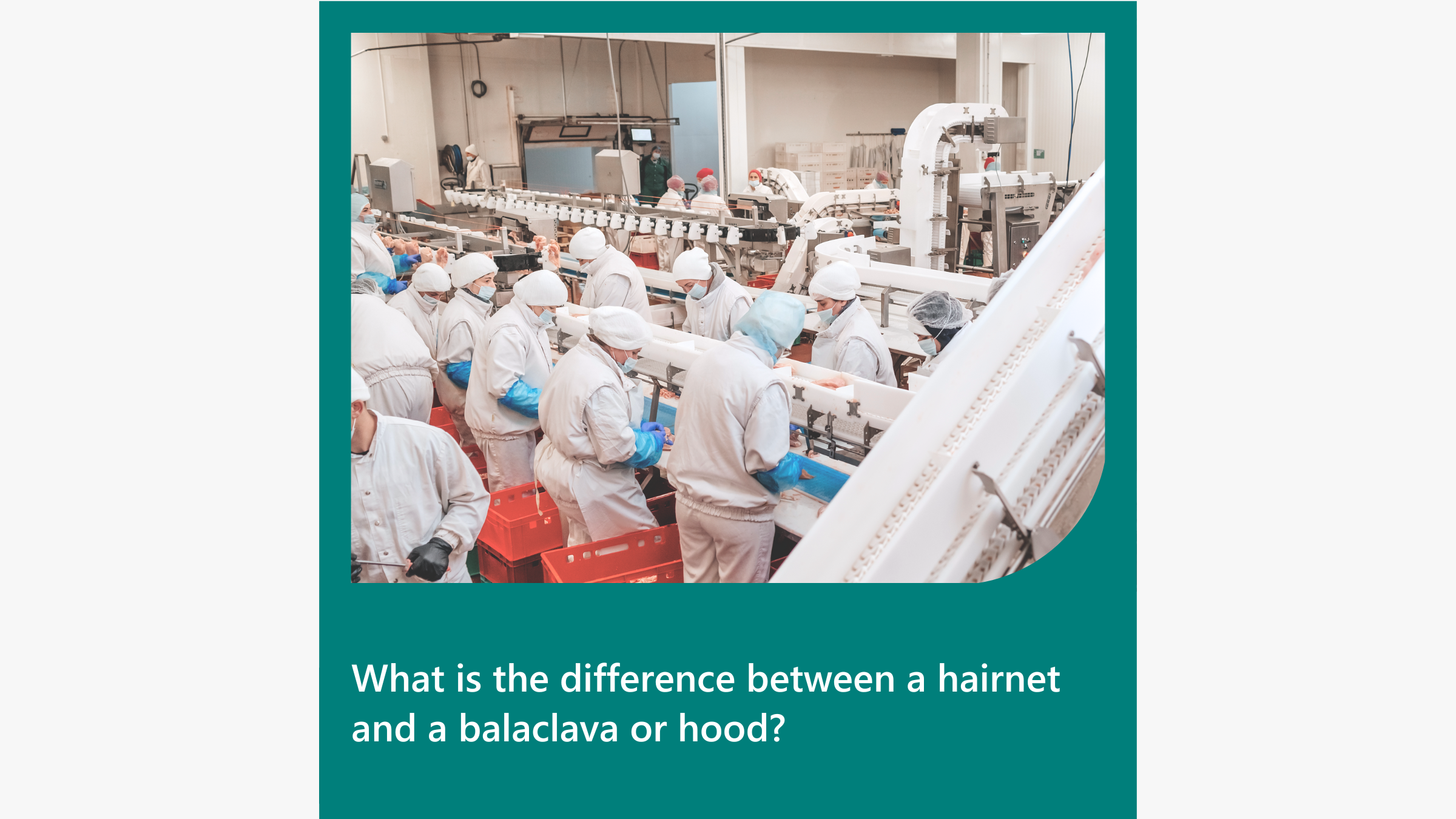 What is the difference between a hairnet and a balaclava or hood
