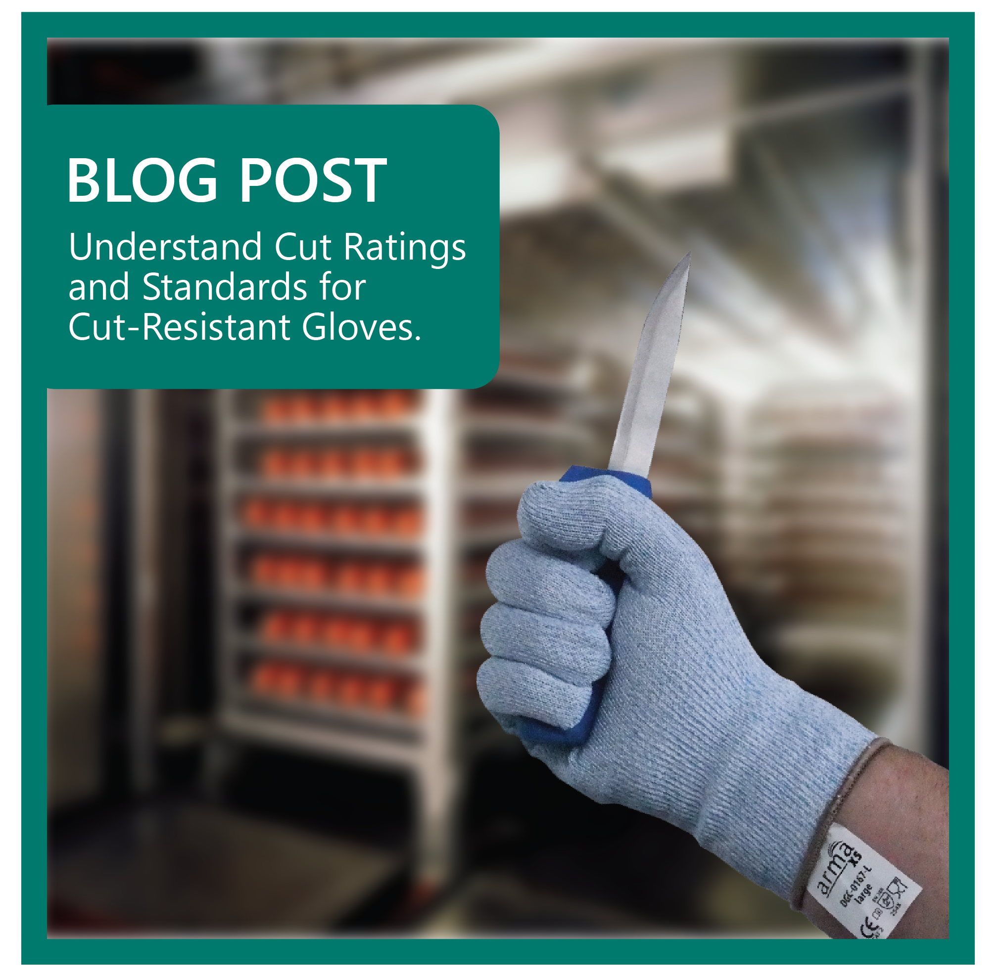 Understanding Cut Ratings and Standards for Cut-Resistant Gloves